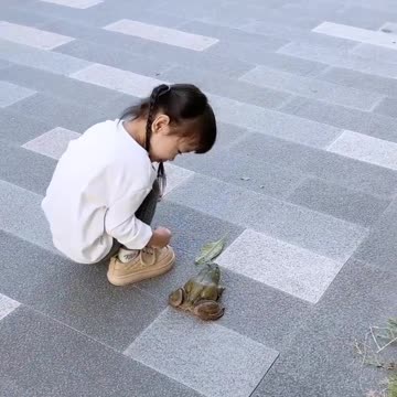 A Day of Fun with a Frog