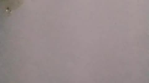 Brett Boyle 🇨🇦 is live! 1-27-2026 part 3