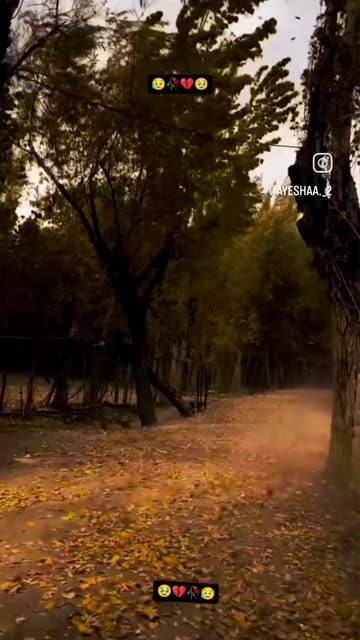 Kisi nazar ko tera intezar ......💖💞