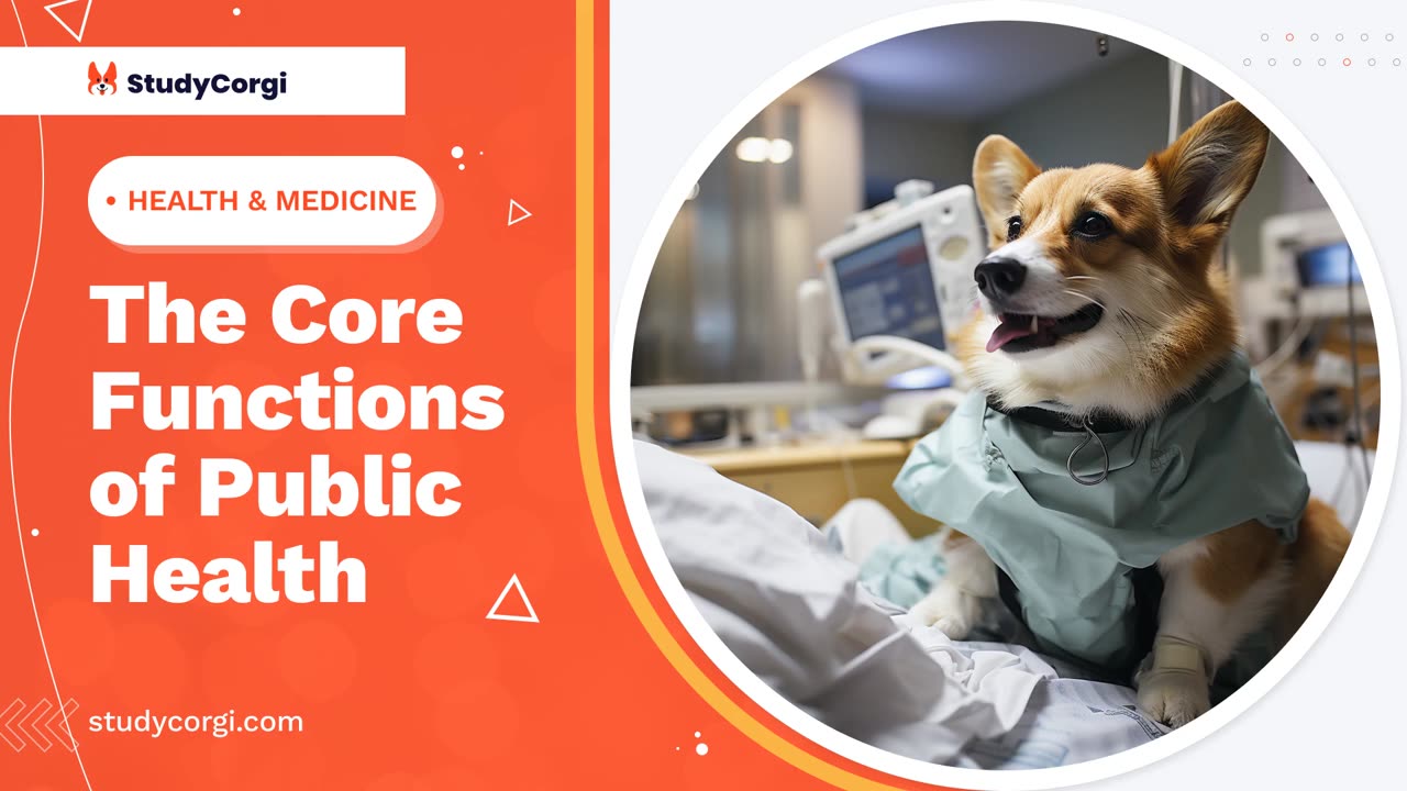 The Core Functions of Public Health - Research Paper Example