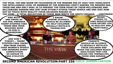 2ND AMERICAN REVOLUTION part 256 WRONG VIEW