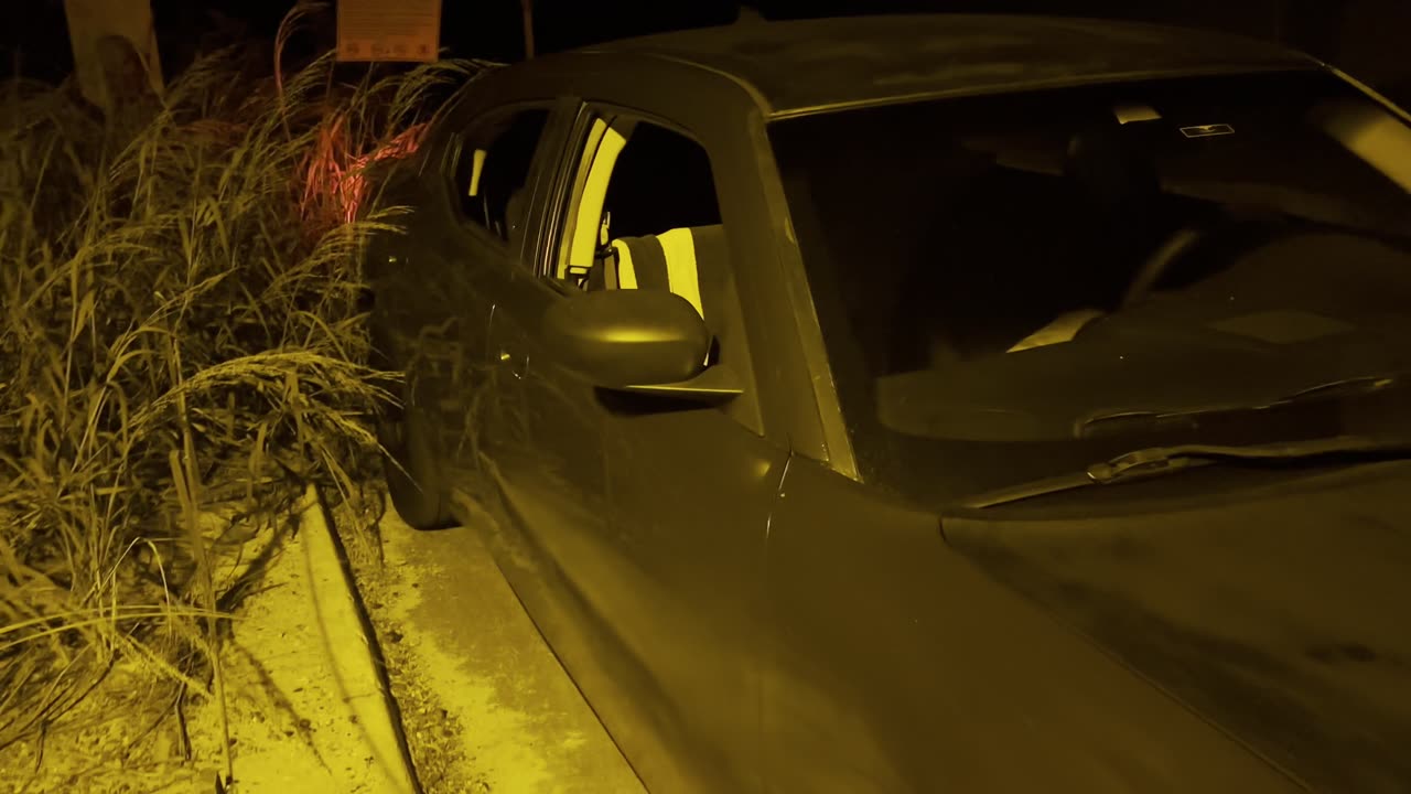 In The Town They're Searching For Us Everywhere