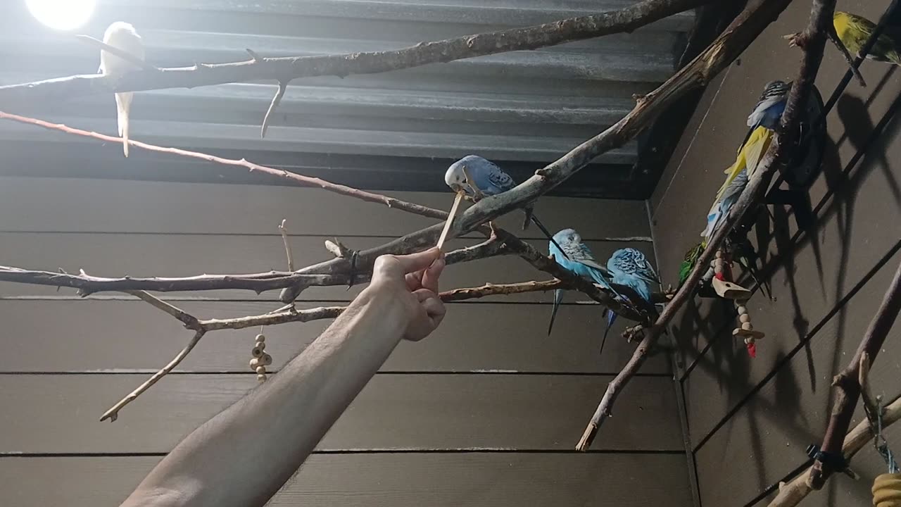 Cheyenne Mountain Zoo Part 25