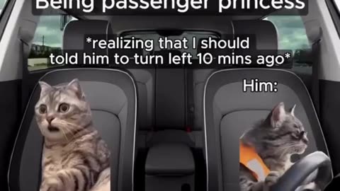 Being Passenger Princess