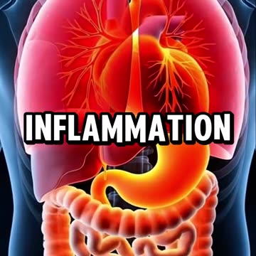 The seven best anti-inflammatory vegetables on the planet