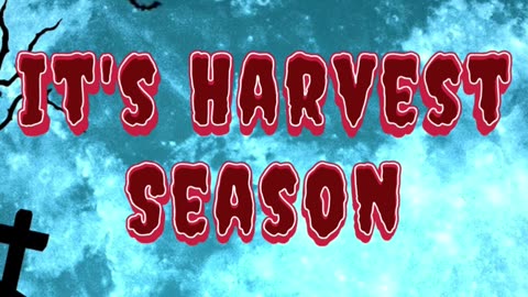 It’s Hemp Harvest Season 🌕🐺 | New THCa Flower Drops & Bulk Wholesale | NextLevelLeaf.com #hempflower