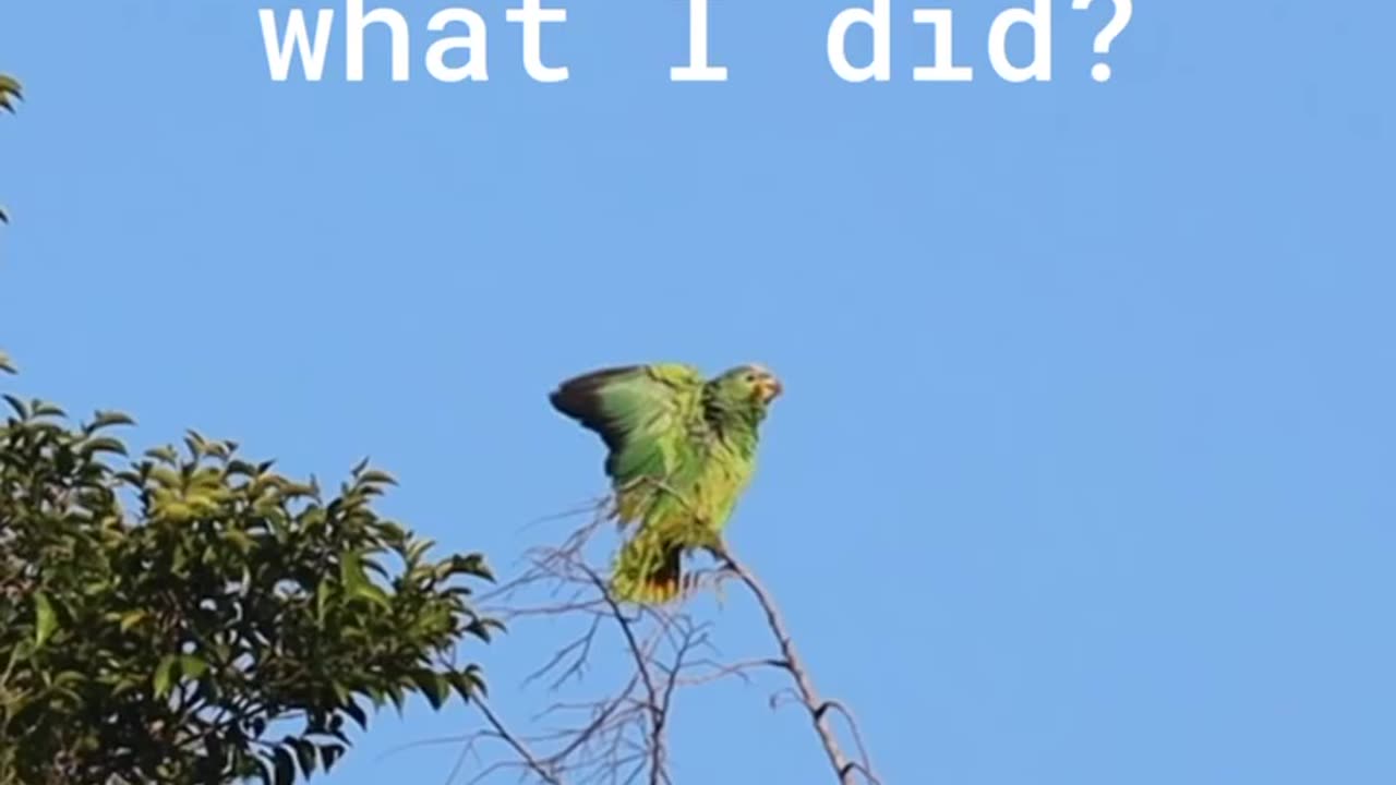 What's your naaame?