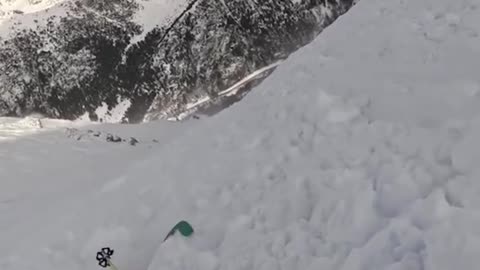 A skier and her dog survive an avalanche!!