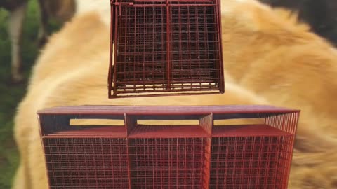 Portable Small Livestock Panels