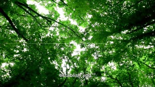 Finding Strength in Peter 5:10 A Journey of restoration