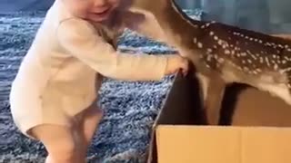 cute deer 🦌 'video content intended for adults'