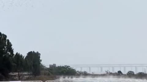 ICYMI: A drone show in China was disrupted after someone turned on a jammer