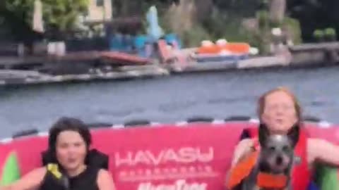 Adventure Puppy Taken Boat Tubing