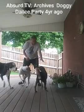 Absurd TV Achives: Doggy Dance Party