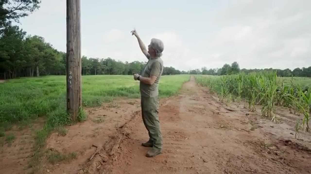 MeatEater Sheds with Jeff Foxworthy | If You Live Here, You Might Be a Hunter