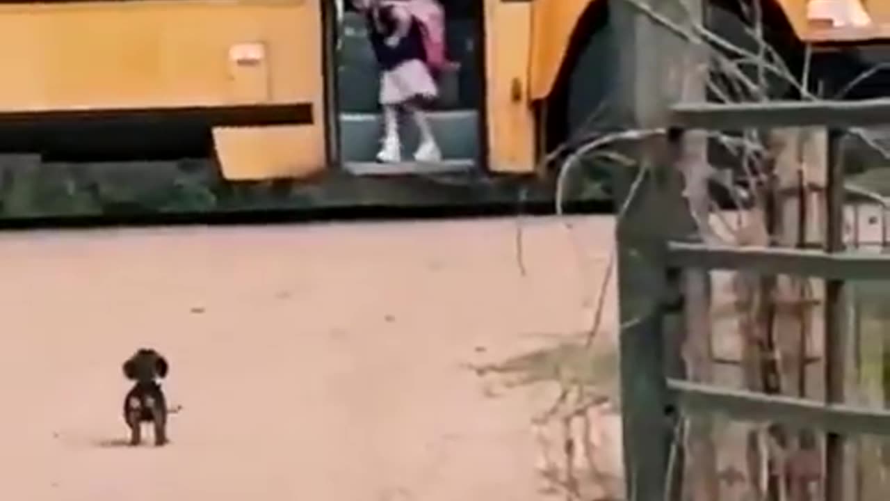 A baby waiting for a baby.. 🐶🥰