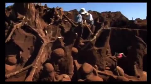 Over the course of 3 days scientists pumped 10 tons of cement into an abandoned ant hill