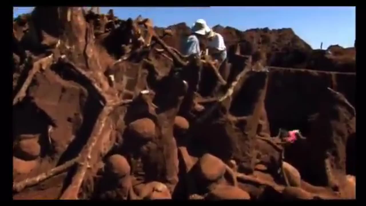 Over the course of 3 days scientists pumped 10 tons of cement into an abandoned ant hill