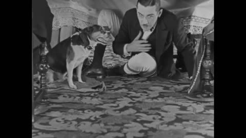 The Way of All Pants (1927) Short film | Comedy