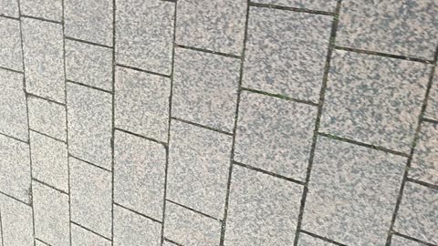 Schiedam 4 oktober 2025 deel 11/19