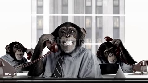 Fanny business man monkeys video