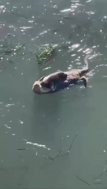 Mom and baby enjoying some quality time