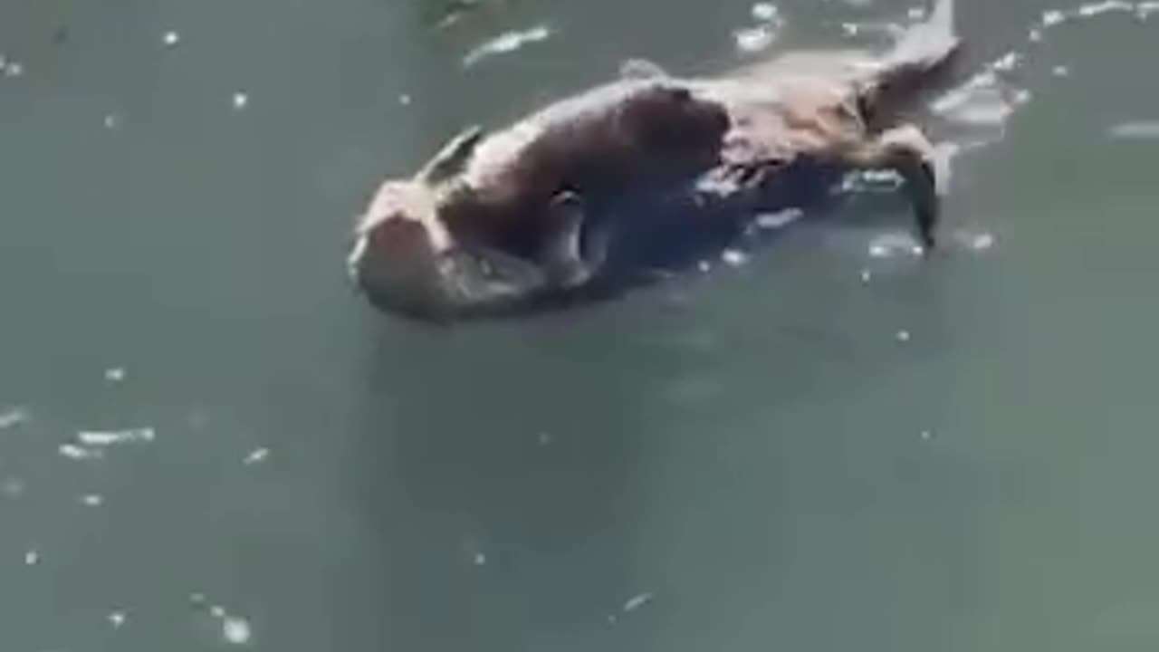 Mom and baby enjoying some quality time