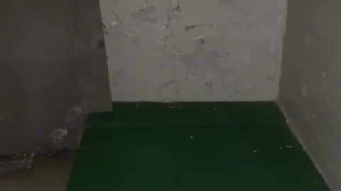 🏰👻 The Ghosts Of Dorchester’s Dark Past- The Bannisters | TheHauntingHour