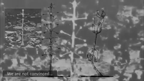 Strange Things Are Appearing In Antarctica - Mystery History