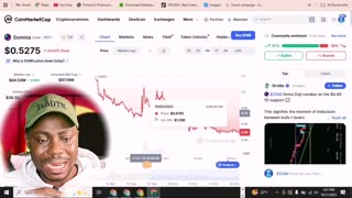 why-crypto-whales-buying-7-altcoins-market-crash