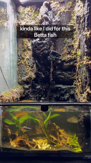 Terrarium Waterfalls!