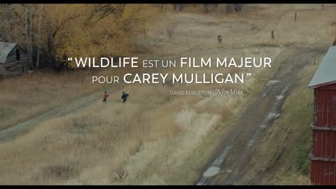 WILDLIFE - UNE SAISON ARDENTE