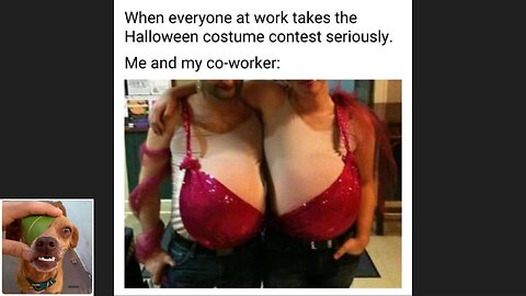 Memes That Will 99.0451% Make You Laugh. (e675)