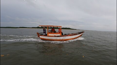 Pescadores de pescada amarela
