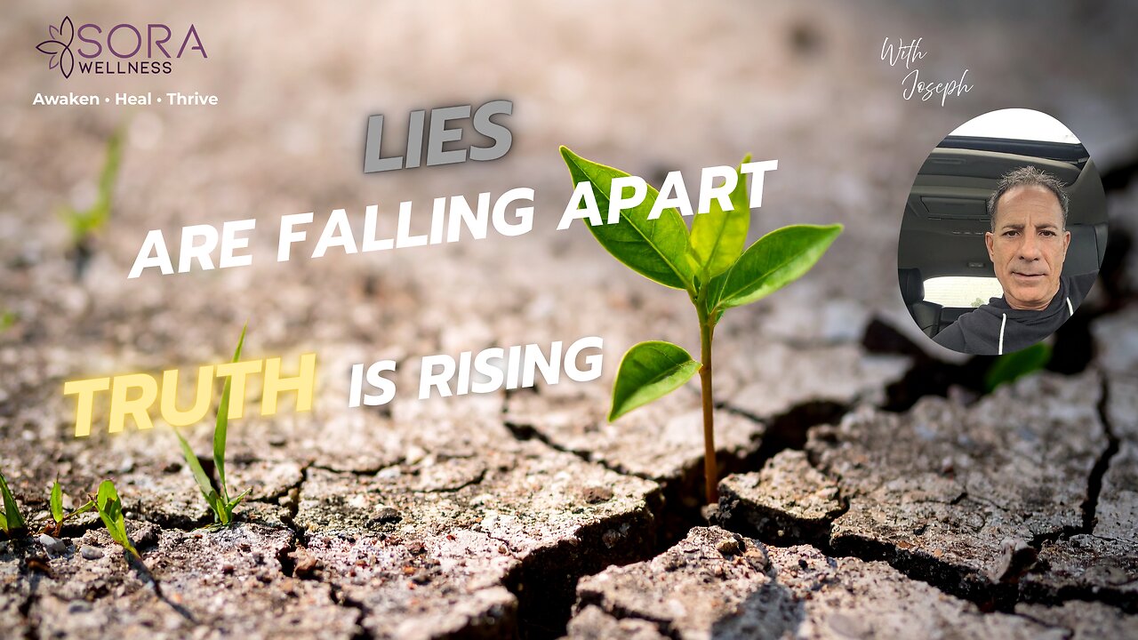 Lies Falling Apart