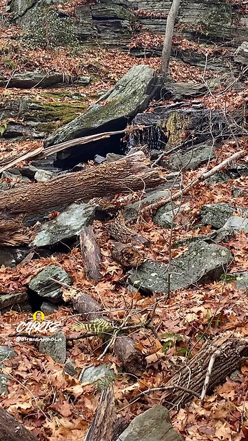 BABY WATERFALL CASCADE!