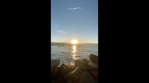 Beach vibes