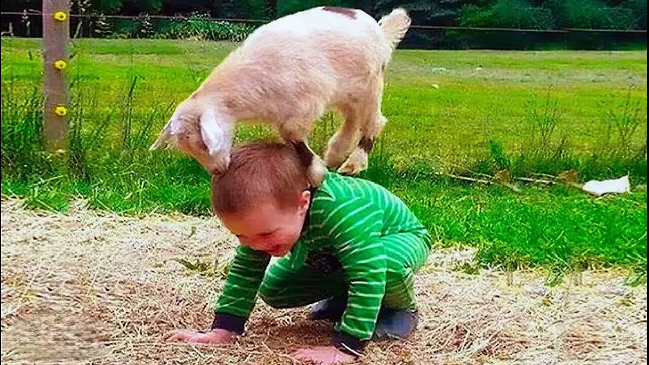 😂😂😆Zoo animals prank on kids, funny and vengeful🤣♥️♥️