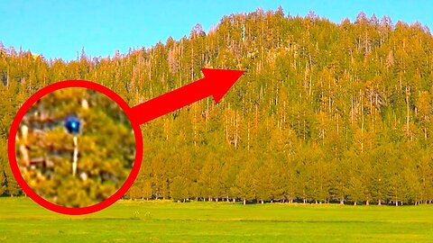 Unexpected Sighting at 8,000 ft in the Sierra Nevada Mountains at Big Meadow, California (Deleted Content)