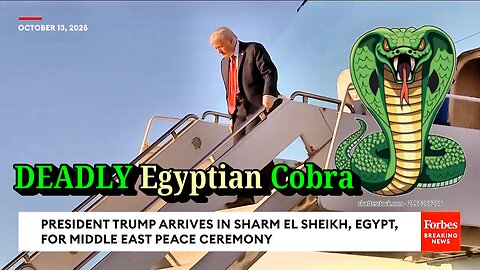 US Special Envoy Trump in Egypt: Woe to Those Who Go Down to Egypt For Help