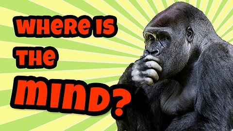 Stop Searching for Peace | What Bodhidharma Taught About the Mind | A Daily Dose of Zen