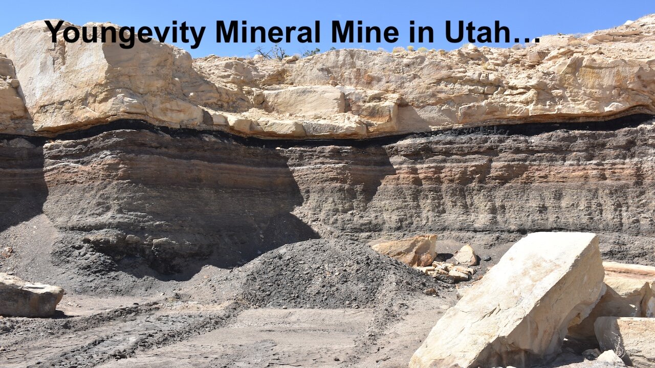 Jan. 23, 2025 AM / The Extreme Importance of Minerals and more!...