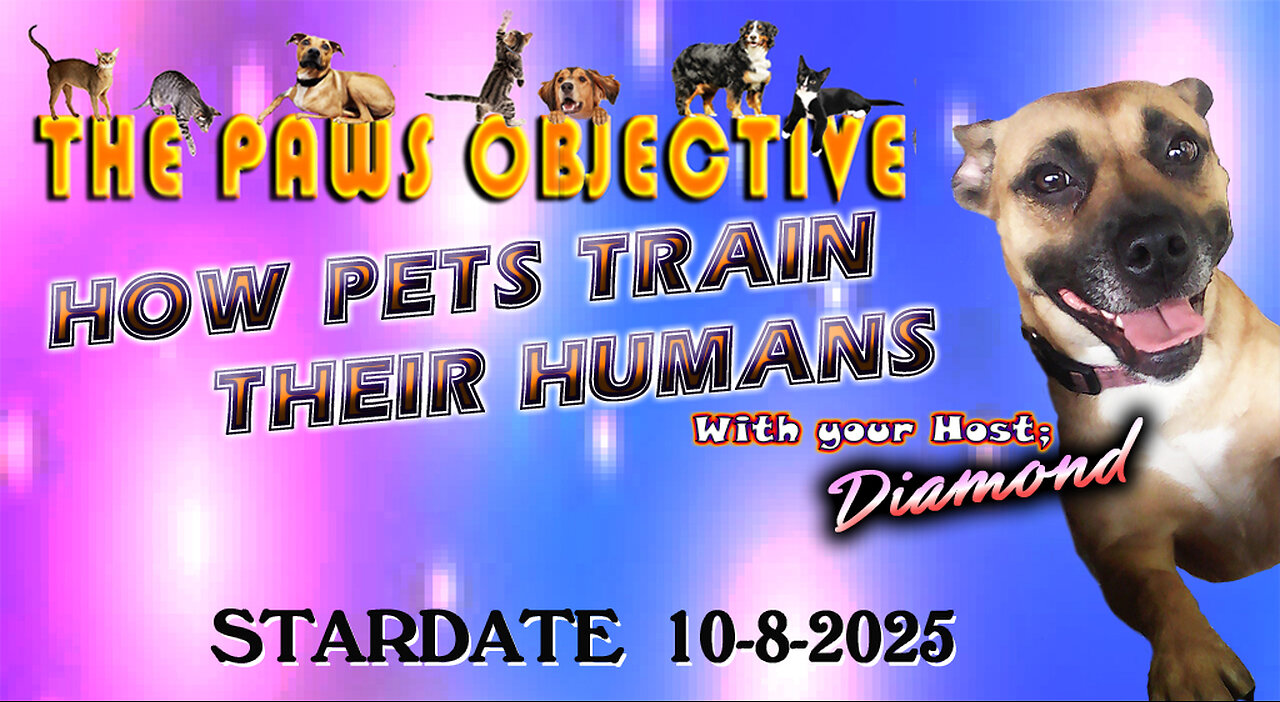 How to train your HUMAN!