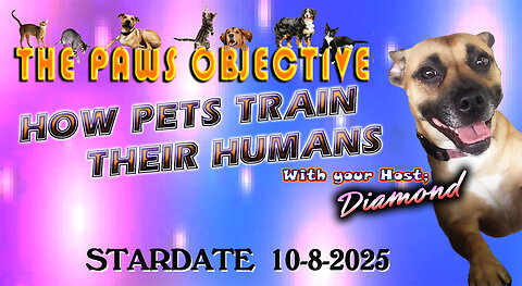 How to train your HUMAN!