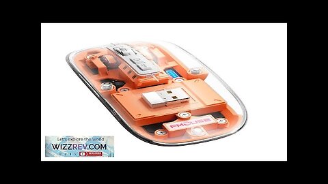 HXSJ T900 2.4G Wireless bluetooth-compatible 5.1 Transparent Mouse 800-2400 DPI Adjustable Review