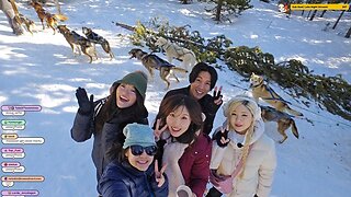 [2-05-26] Montana Day TROIS~! DOG SLEDDING + SCENIC HIKES w/ @thesushidragon @meishelly @hachubby...