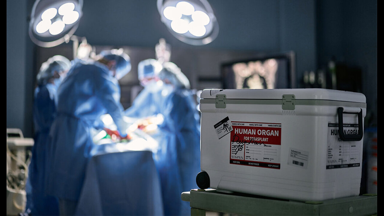 Stopping The Harvesting with Kate Shemirani & Dr. Heidi Klessig