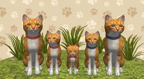 I have a Cat family! | Cat Simulator