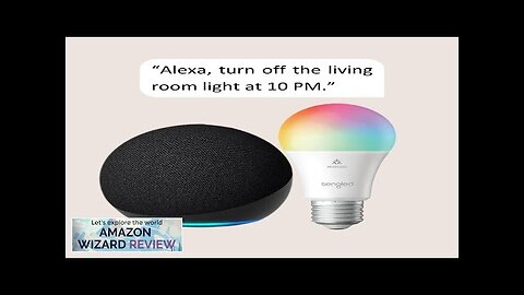 Echo Dot (5th Gen) Charcoal with Sengled Smart Color Bulb Review