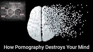 How Pornography Destroys Your Mind (Pax Tube)